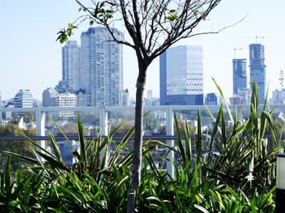 Un lugar para vivir - Microcentro